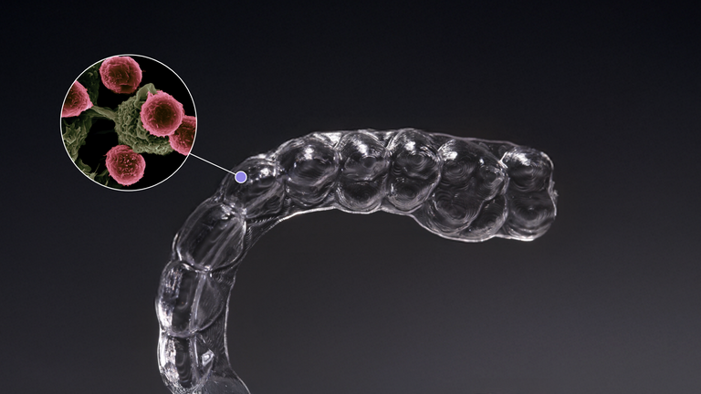 The Hidden Fungus on your Retainer: Understanding Candida Albicans